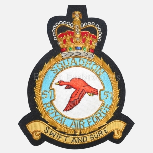 ROYAL AIR FORCE BADGE - SQUADRON-BH-AF-010